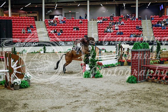 2025 - Haylee - Royal West - Tuesday October 21st - 09580