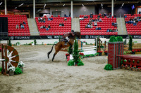 2025 - Haylee - Royal West - Tuesday October 21st - 09582