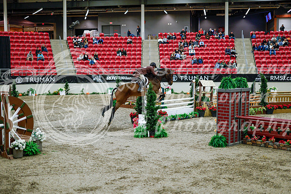 2025 - Haylee - Royal West - Tuesday October 21st - 09585