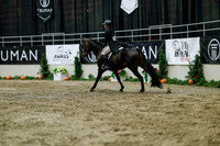 2025 - Haylee - Royal West - Tuesday October 21st - 05020