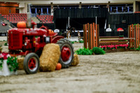 2025 - Haylee - Royal West - Tuesday October 21st - 05025