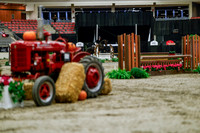 2025 - Haylee - Royal West - Tuesday October 21st - 05026