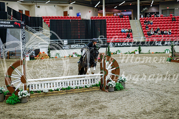 2025 - Haylee - Royal West - Tuesday October 21st - 08736