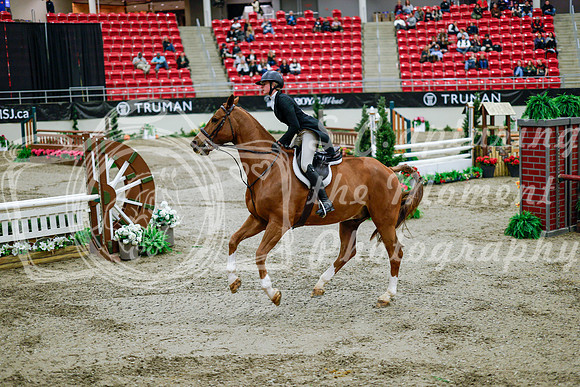 2025 - Haylee - Royal West - Tuesday October 21st - 09100