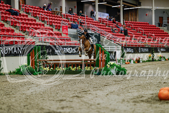 2025 - Haylee - Royal West - Tuesday October 21st - 03655