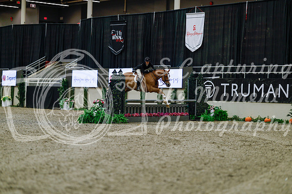 2025 - Haylee - Royal West - Tuesday October 21st - 03669