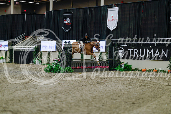 2025 - Haylee - Royal West - Tuesday October 21st - 03670