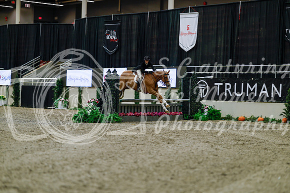 2025 - Haylee - Royal West - Tuesday October 21st - 03671