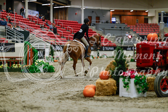2025 - Haylee - Royal West - Tuesday October 21st - 03672