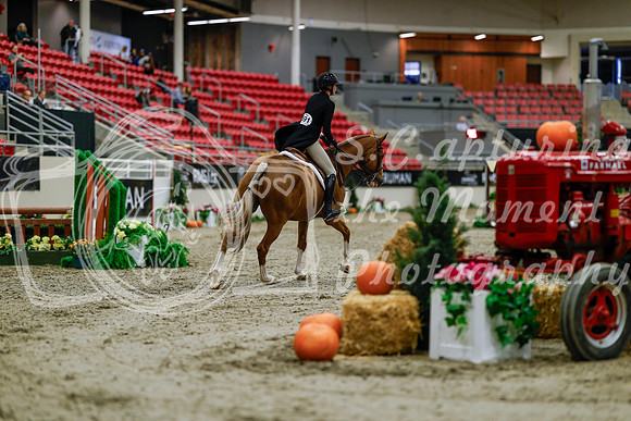 2025 - Haylee - Royal West - Tuesday October 21st - 03675