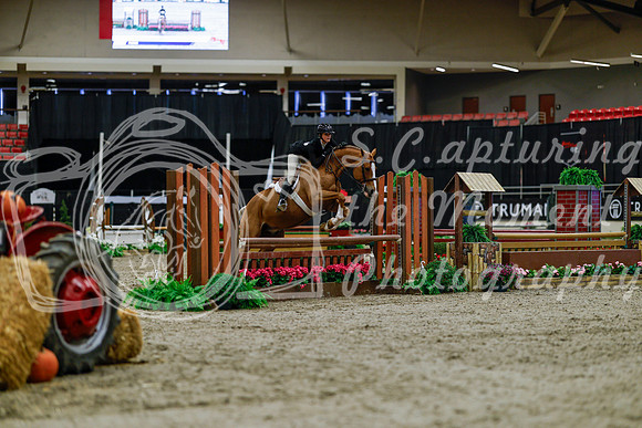 2025 - Haylee - Royal West - Tuesday October 21st - 03677