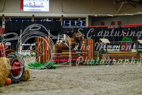 2025 - Haylee - Royal West - Tuesday October 21st - 03678