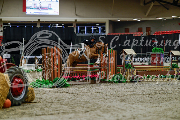 2025 - Haylee - Royal West - Tuesday October 21st - 03680