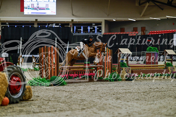 2025 - Haylee - Royal West - Tuesday October 21st - 03681
