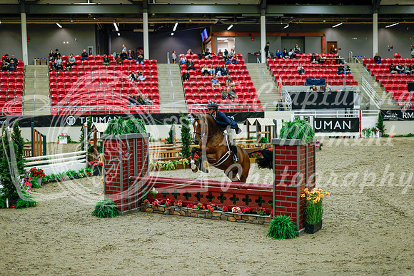2025 - Haylee - Royal West - Tuesday October 21st - 08385