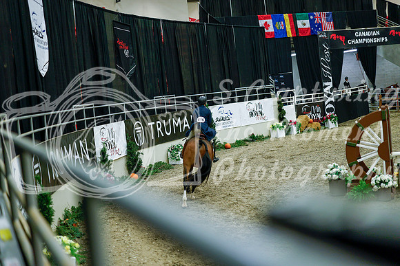 2025 - Haylee - Royal West - Tuesday October 21st - 08397