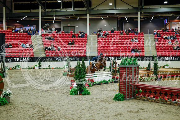 2025 - Haylee - Royal West - Tuesday October 21st - 08398
