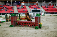 2025 - Haylee - Royal West - Tuesday October 21st - 08983