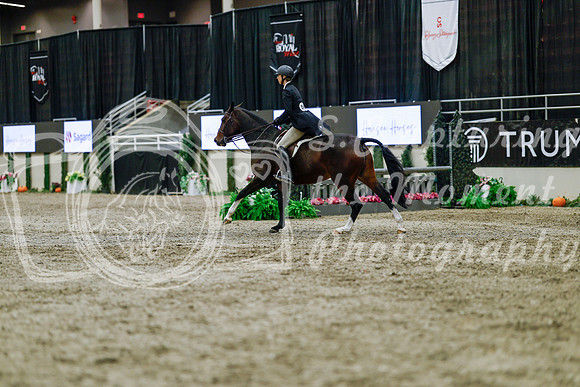 2025 - Haylee - Royal West - Tuesday October 21st - 05082
