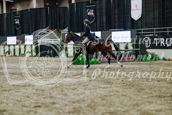 2025 - Haylee - Royal West - Tuesday October 21st - 05084