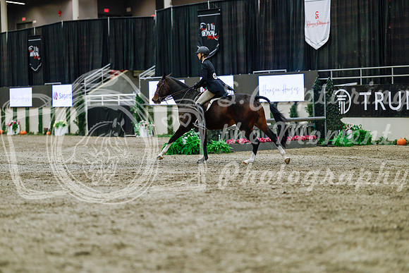 2025 - Haylee - Royal West - Tuesday October 21st - 05083