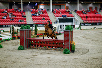 2025 - Haylee - Royal West - Tuesday October 21st - 08985