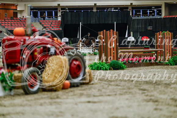 2025 - Haylee - Royal West - Tuesday October 21st - 05089