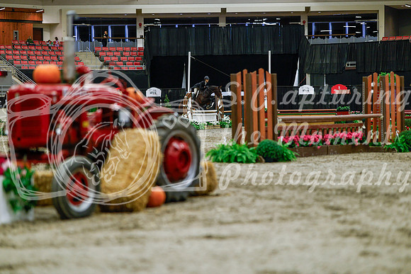 2025 - Haylee - Royal West - Tuesday October 21st - 05088