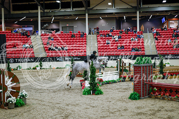 2025 - Haylee - Royal West - Tuesday October 21st - 08560