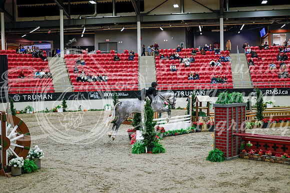 2025 - Haylee - Royal West - Tuesday October 21st - 08561
