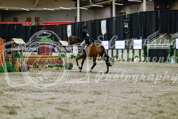 2025 - Haylee - Royal West - Tuesday October 21st - 04767