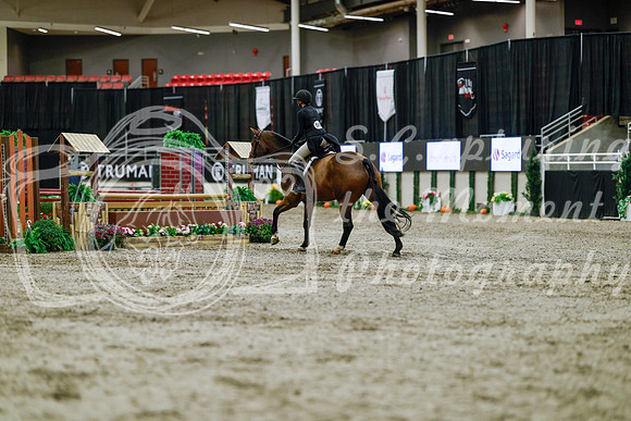 2025 - Haylee - Royal West - Tuesday October 21st - 04769