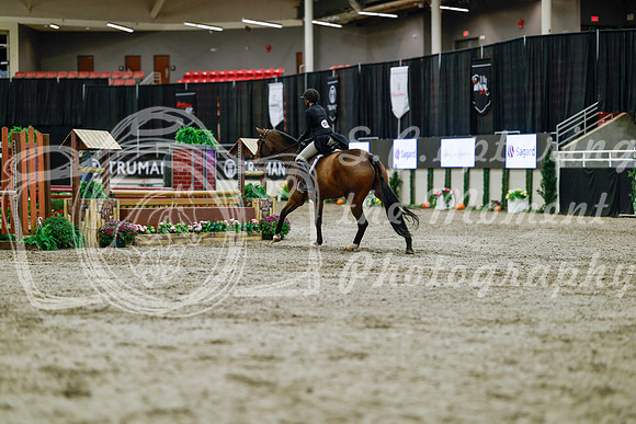 2025 - Haylee - Royal West - Tuesday October 21st - 04770