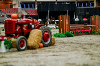 2025 - Haylee - Royal West - Tuesday October 21st - 04771