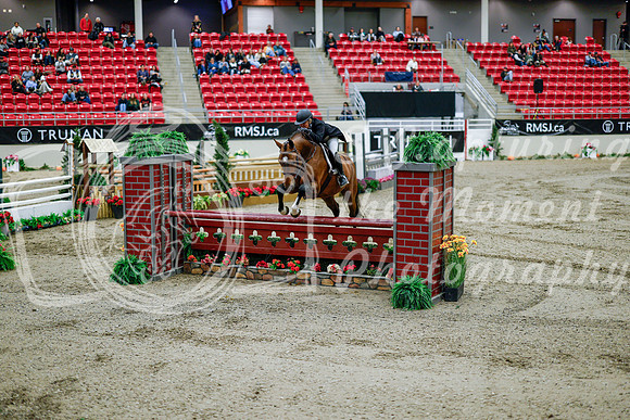 2025 - Haylee - Royal West - Tuesday October 21st - 09832