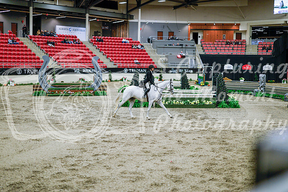 2025 - Haylee - Royal West - Tuesday October 21st - 09488