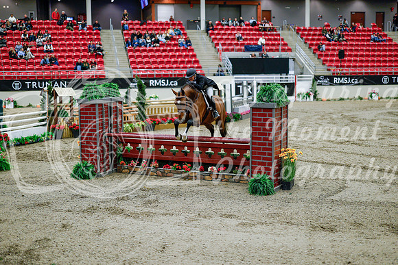 2025 - Haylee - Royal West - Tuesday October 21st - 09833