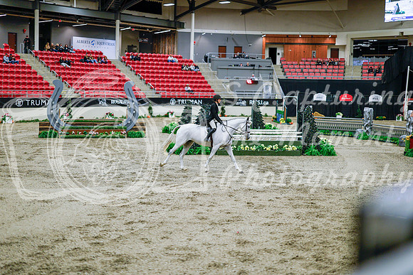 2025 - Haylee - Royal West - Tuesday October 21st - 09490