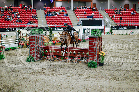 2025 - Haylee - Royal West - Tuesday October 21st - 09836