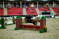 2025 - Haylee - Royal West - Tuesday October 21st - 08412