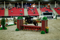 2025 - Haylee - Royal West - Tuesday October 21st - 08414