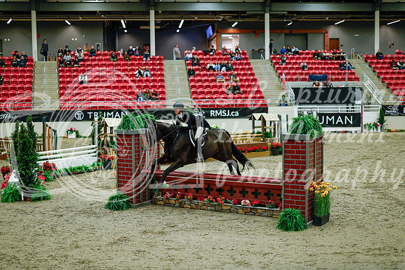 2025 - Haylee - Royal West - Tuesday October 21st - 08418