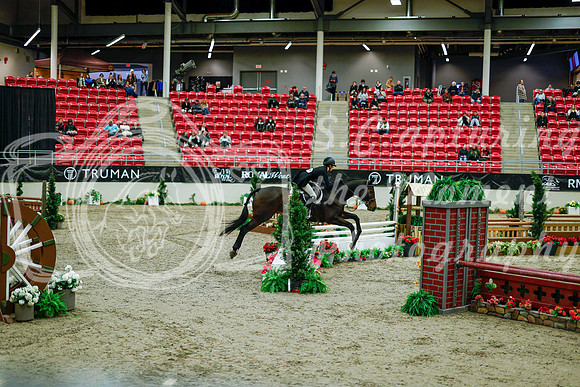 2025 - Haylee - Royal West - Tuesday October 21st - 08424