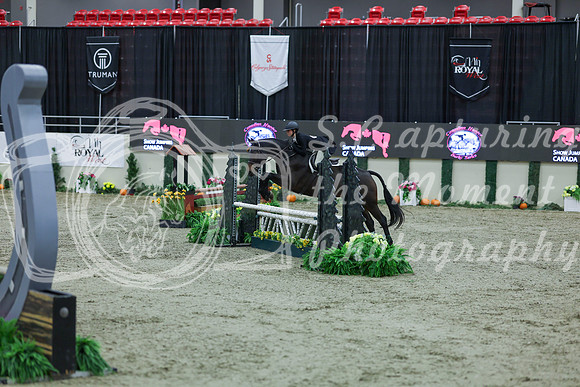 2025 - Shea - Royal West - Tuesday October 21st - 06078