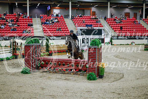 2025 - Haylee - Royal West - Tuesday October 21st - 08935