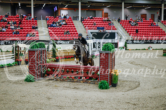 2025 - Haylee - Royal West - Tuesday October 21st - 08936