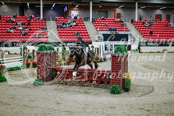 2025 - Haylee - Royal West - Tuesday October 21st - 08945