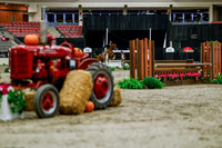 2025 - Haylee - Royal West - Tuesday October 21st - 04272