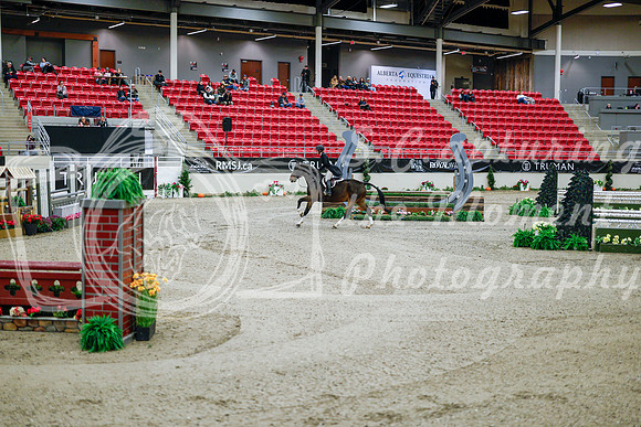 2025 - Haylee - Royal West - Tuesday October 21st - 08958