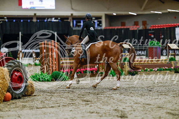 2025 - Haylee - Royal West - Tuesday October 21st - 04285